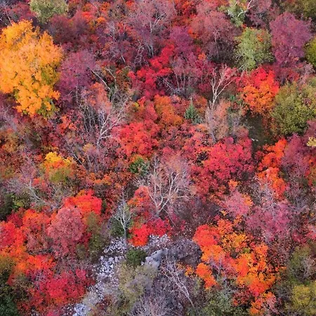 Appartement Panorama