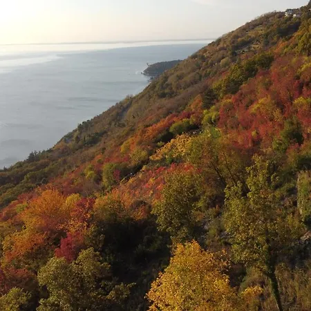 Appartement Panorama *