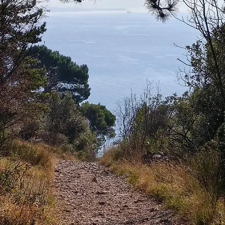 Panorama 아우리시나